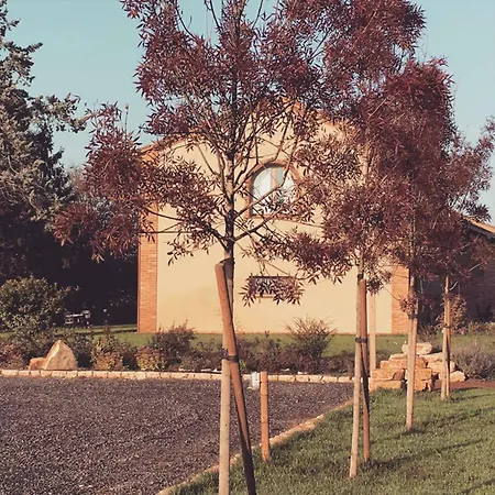 Bassanine Monticelli dʼOngina