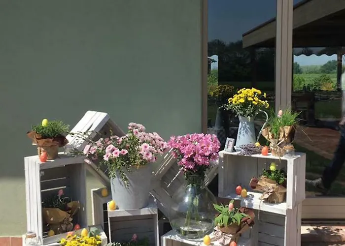 Bassanine * Monticelli dʼOngina