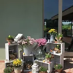 Bassanine * Монтичелли-д’Онджина