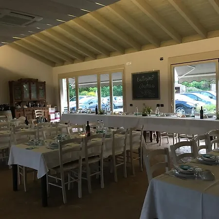 Farmház Bassanine *